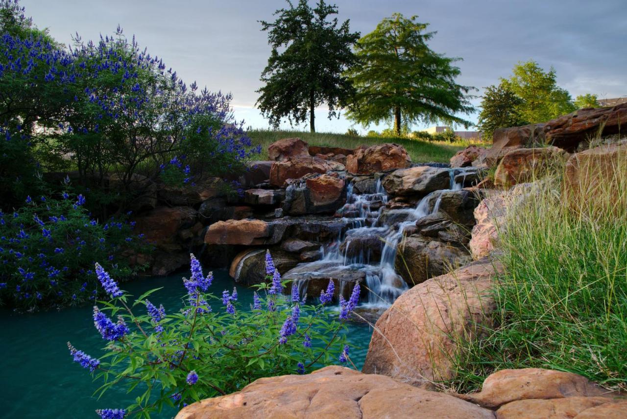 Holiday Inn Express Frisco Legacy Park Area, An Ihg Hotel Luaran gambar
